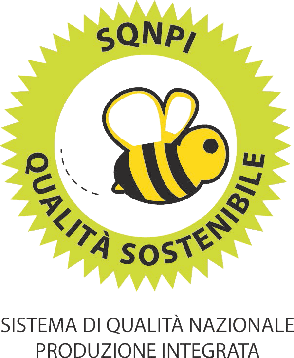 sqnpi logo