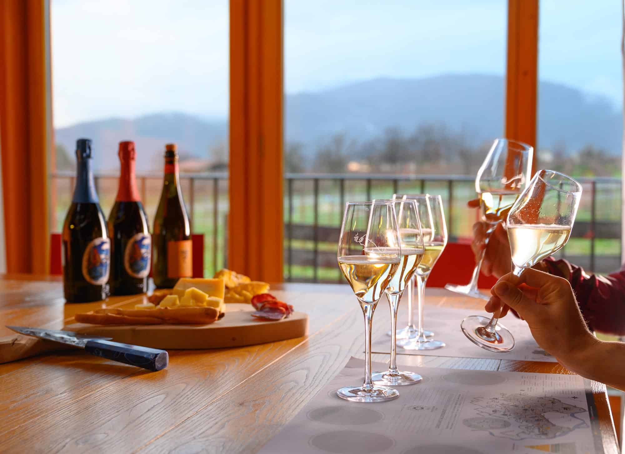 visite in cantina
