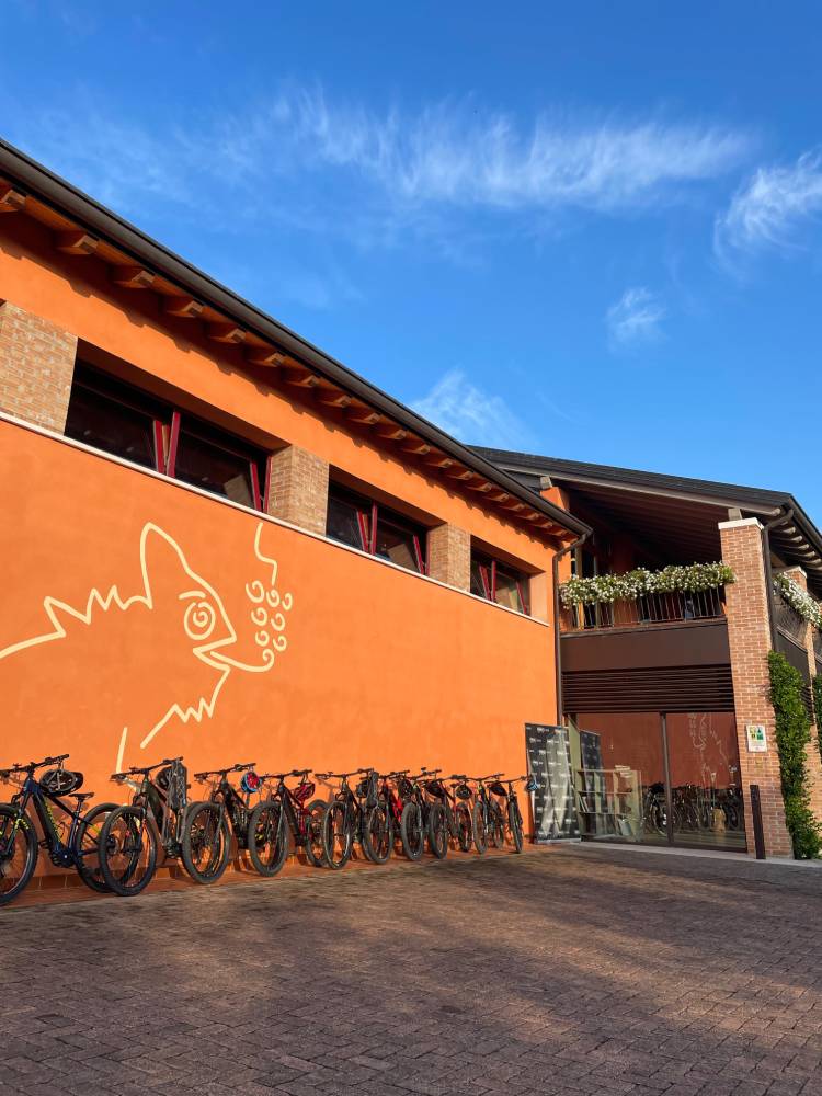 bici in cantina